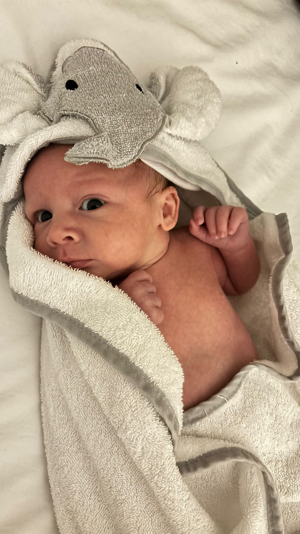 Elephant Hooded Bath Baby Towel