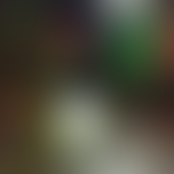 Klambratún komið í jólabúninginn