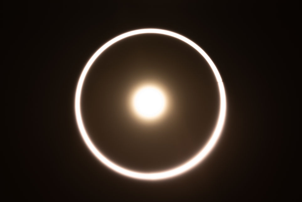 _8100980.jpg
