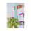 Thumbnail: Colorful Art Deco building with palm tree; pastel colors of pink, teal and white.