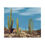 Thumbnail: Tall cacti stand against a cloudy blue sky in the desert landscape.