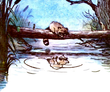 Сказка Крошка Енот и тот, кто сидит в пр