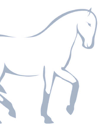 horse-02_edited_edited_edited_edited_edited.png