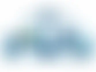 Reasonable Salary for S Corp Owner Explained
