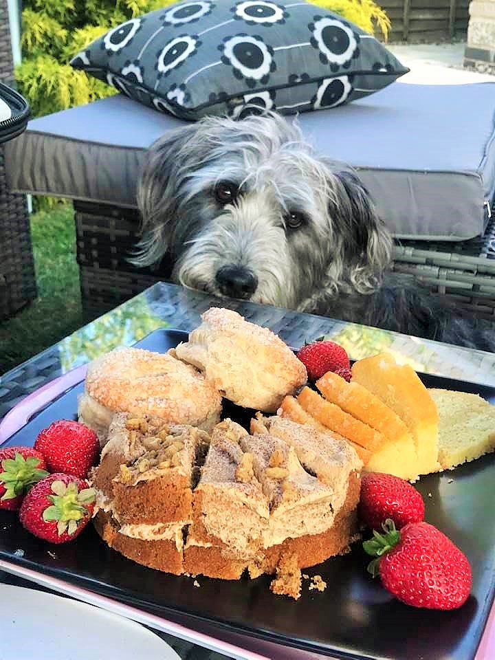 IMPECCABLE TABLE MANNERS