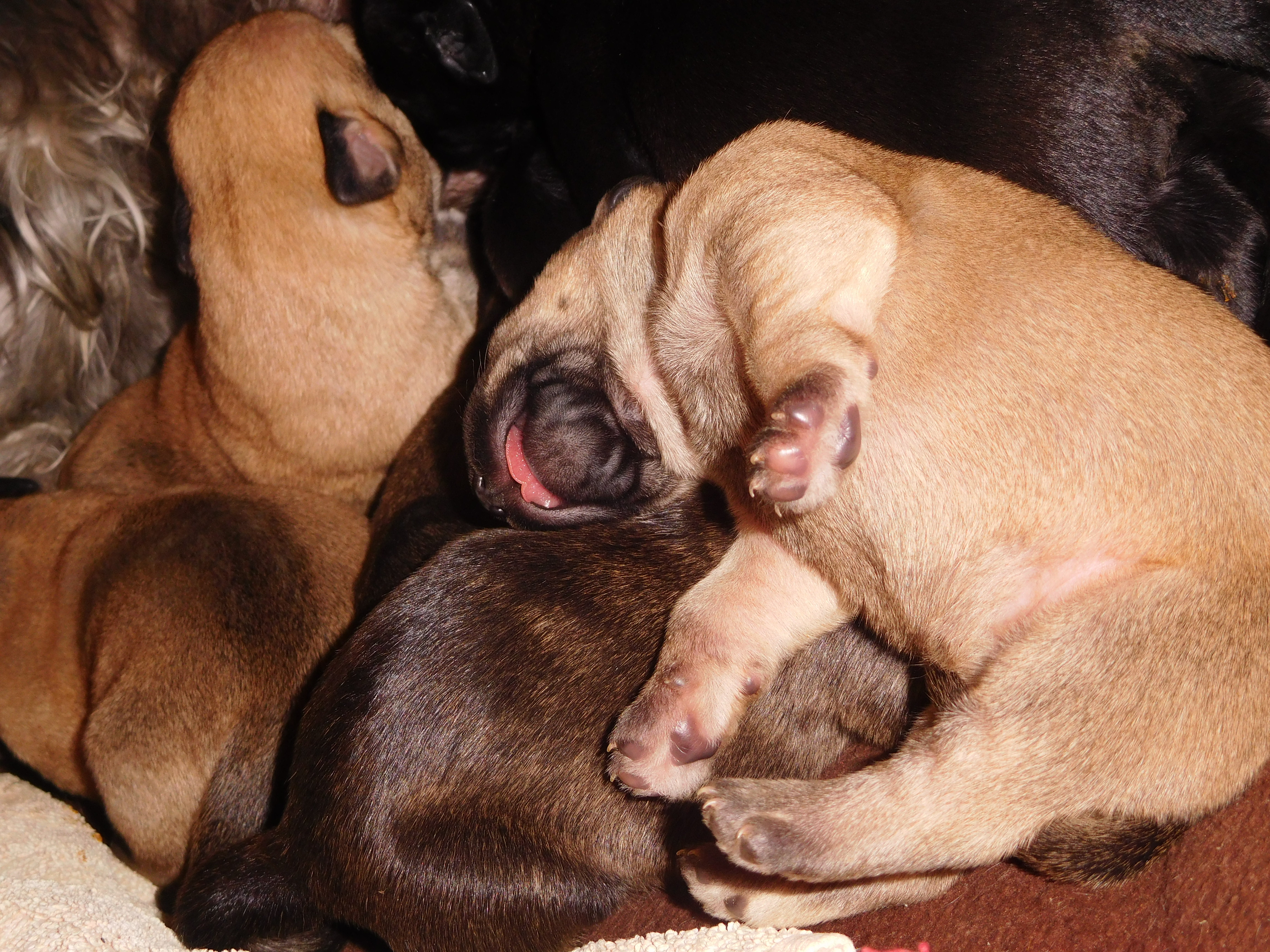 ONE WEEK OLD