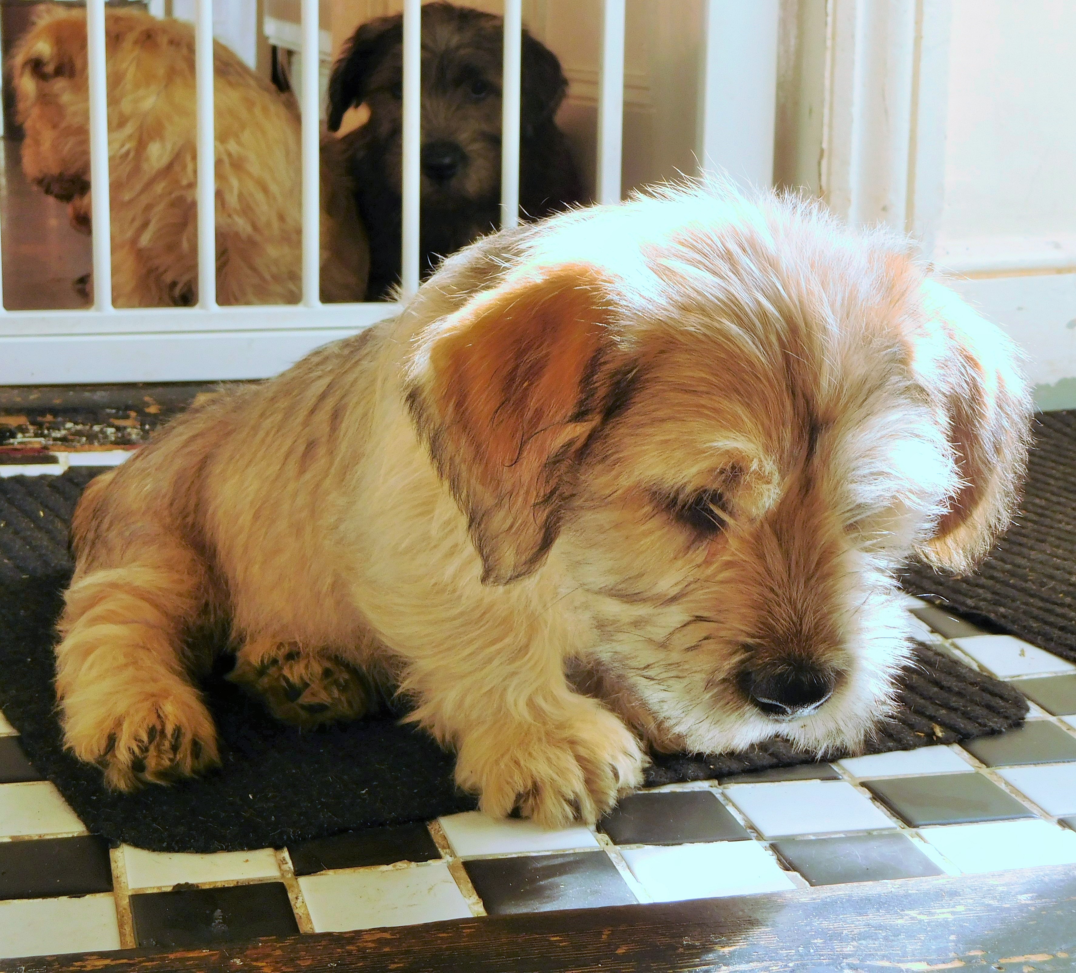 CAPTIVATED BY A SUNBEAM