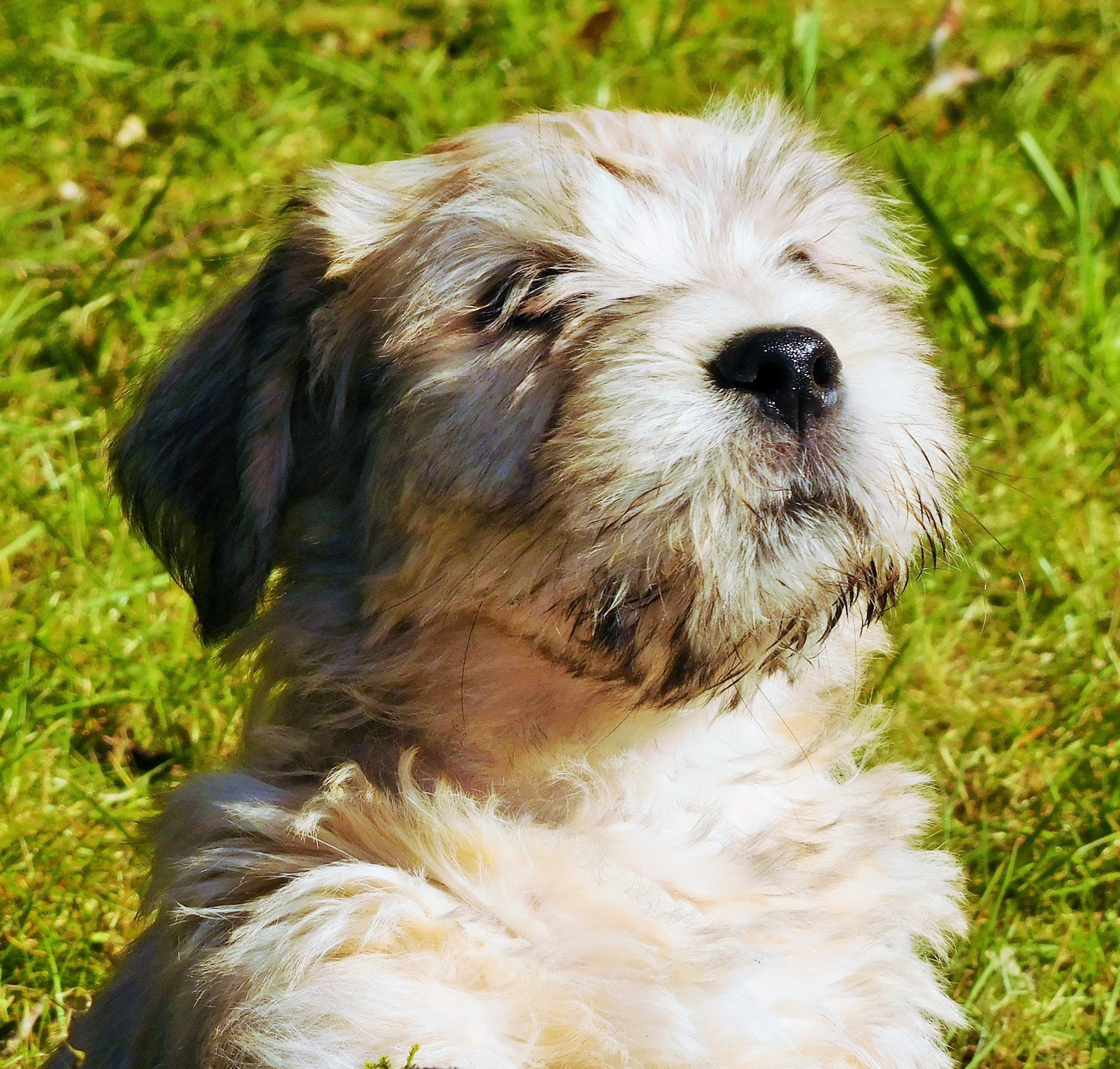 FINTAN