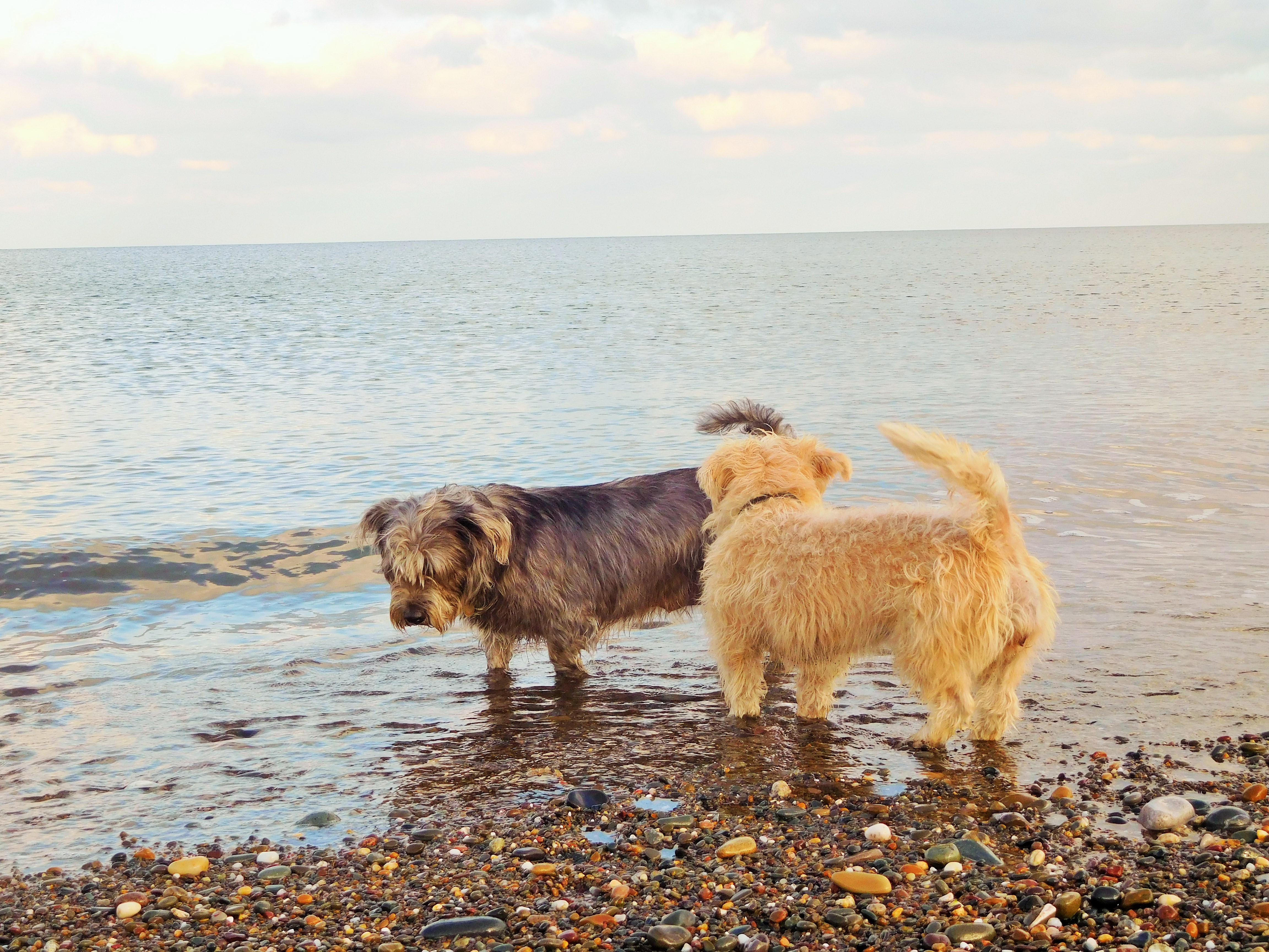 IRISH SEA