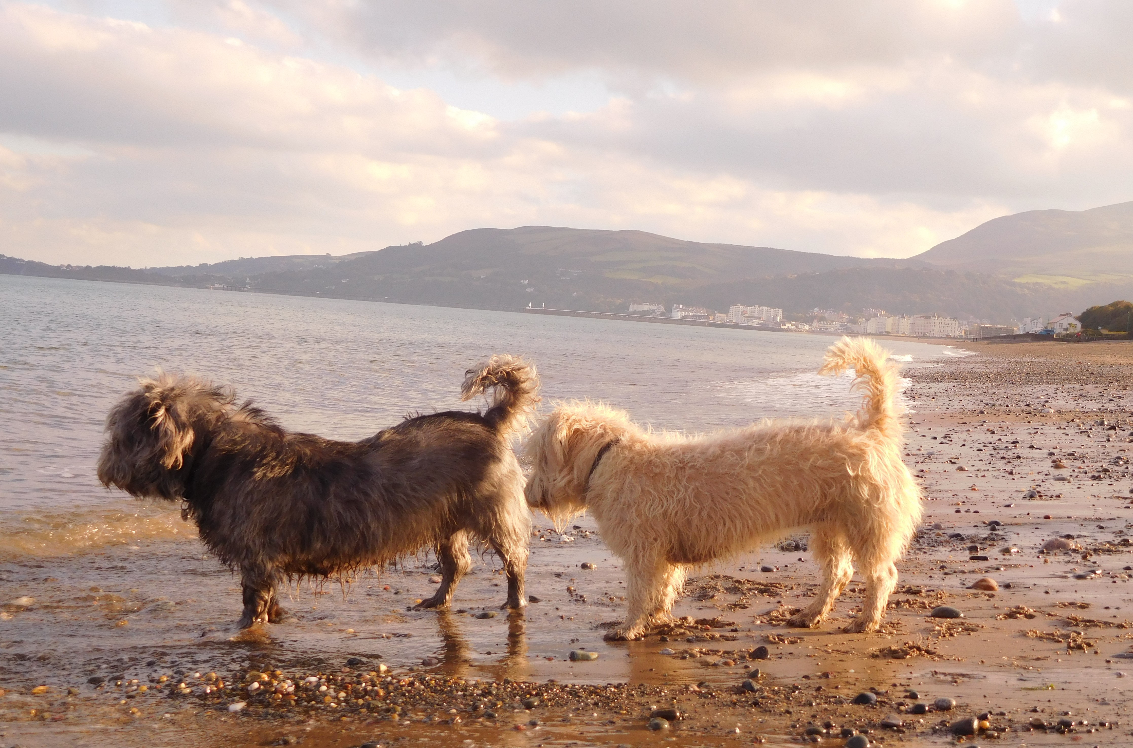 WITH SKY | ISLE OF MAN