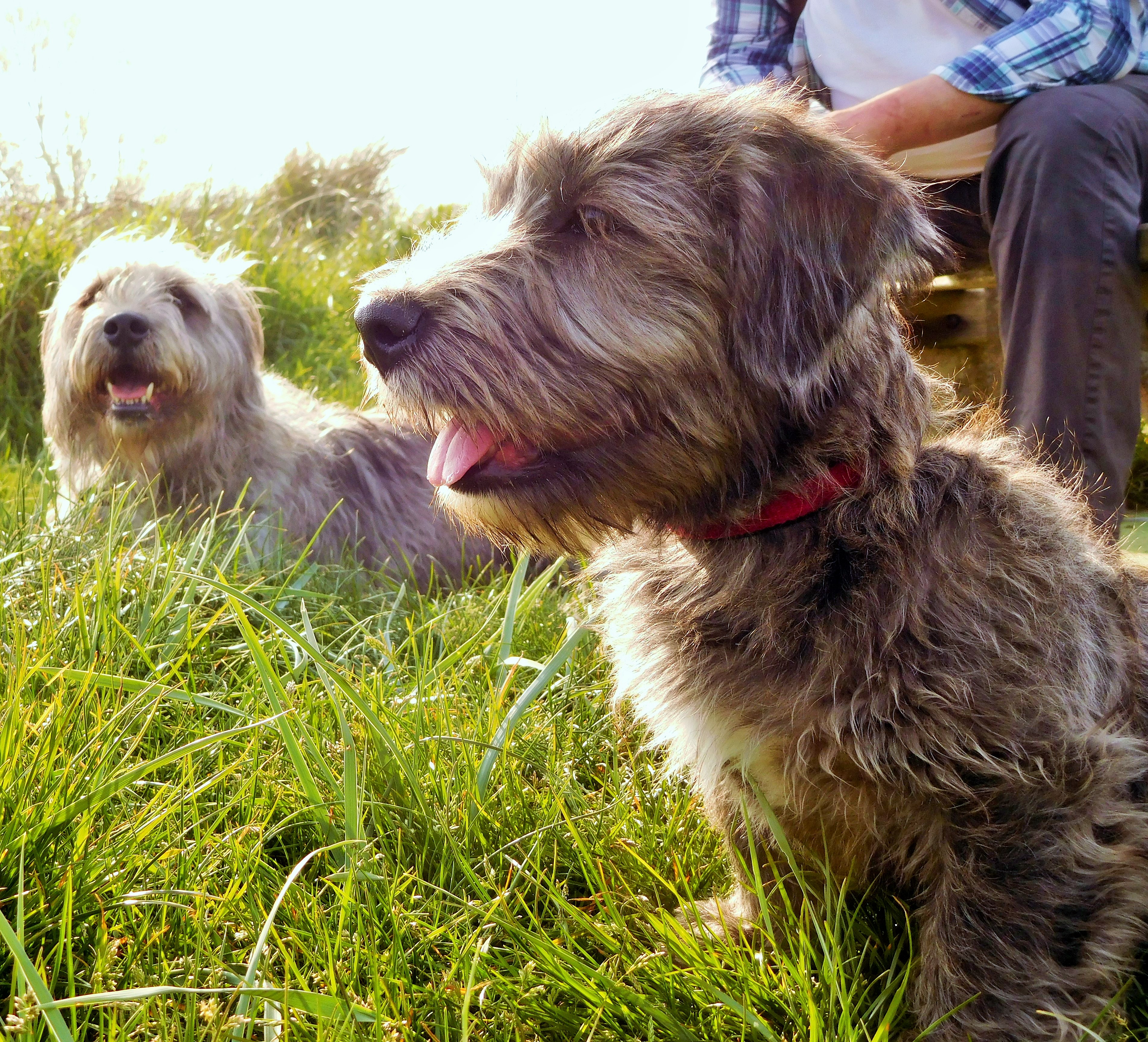 BUSTER AND SKY