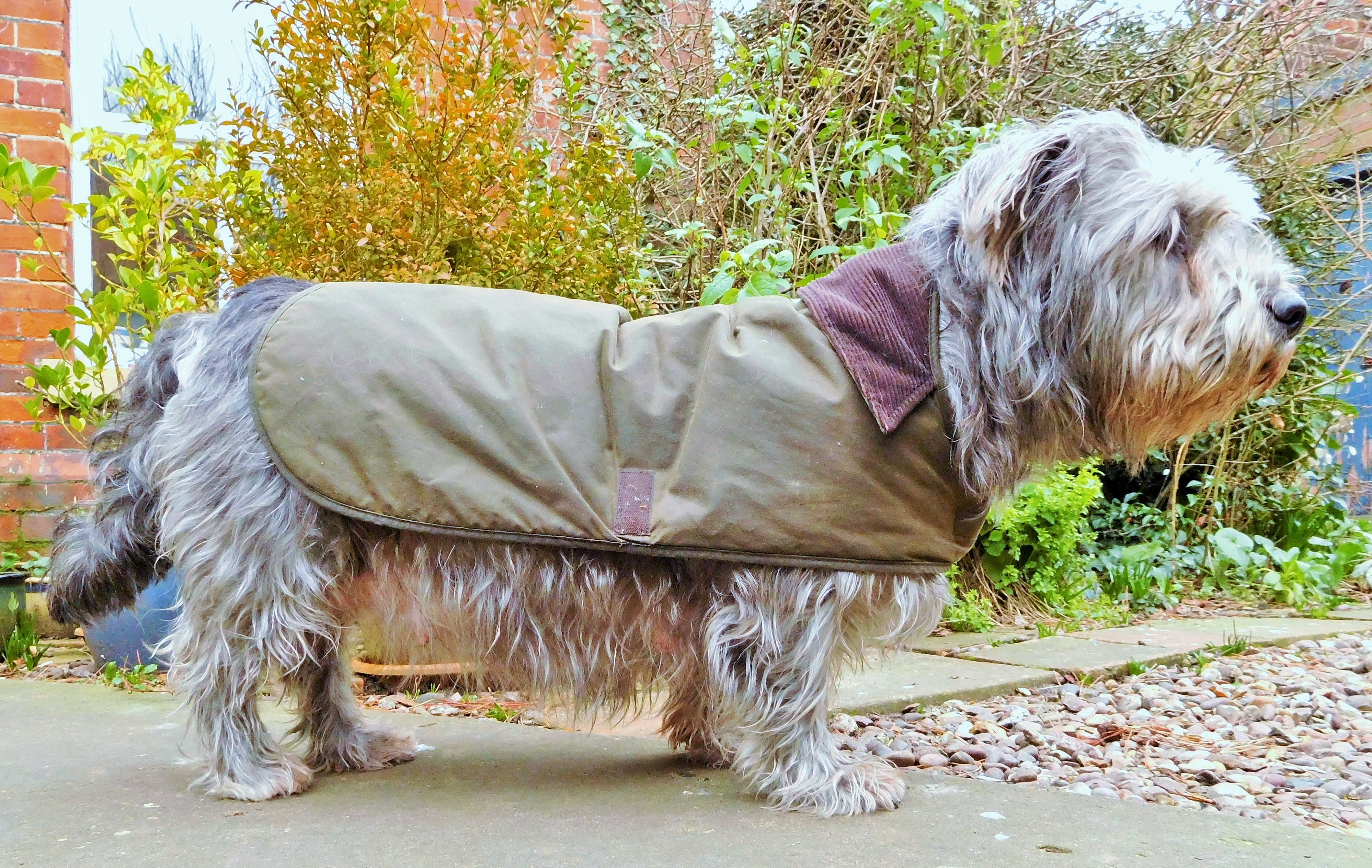 MATERNITY COAT