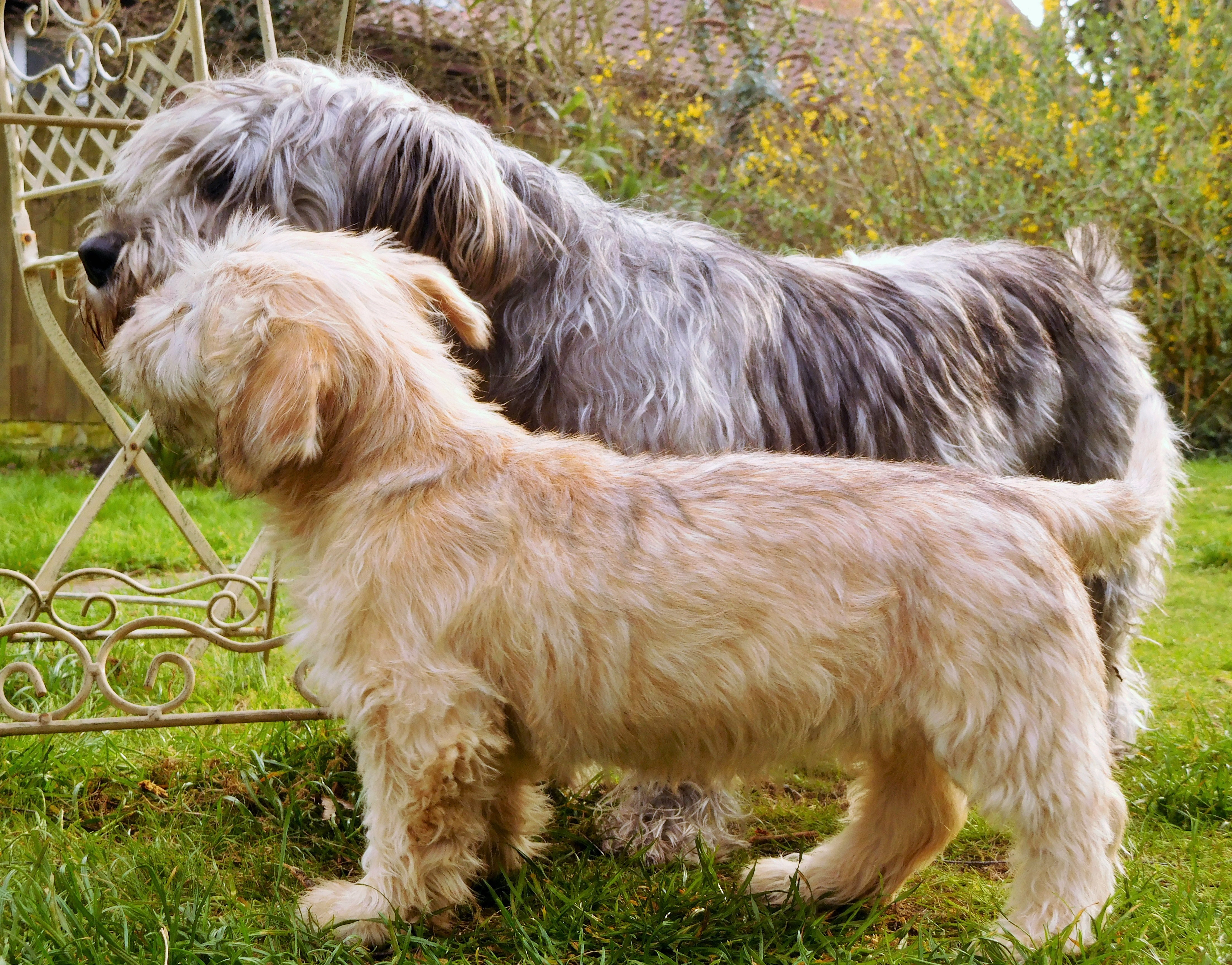 CLODAGH AND SKY