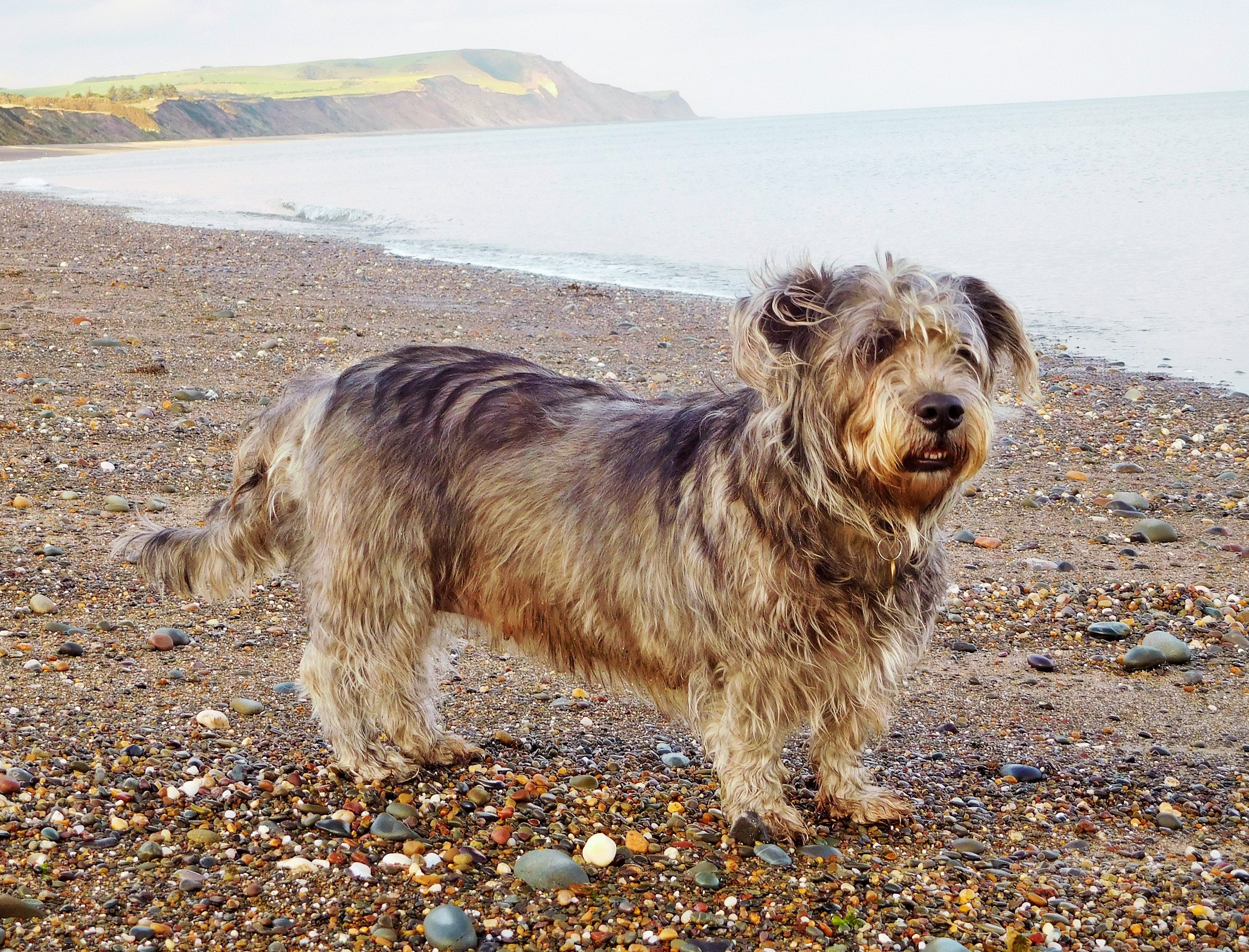 MANX BEACH
