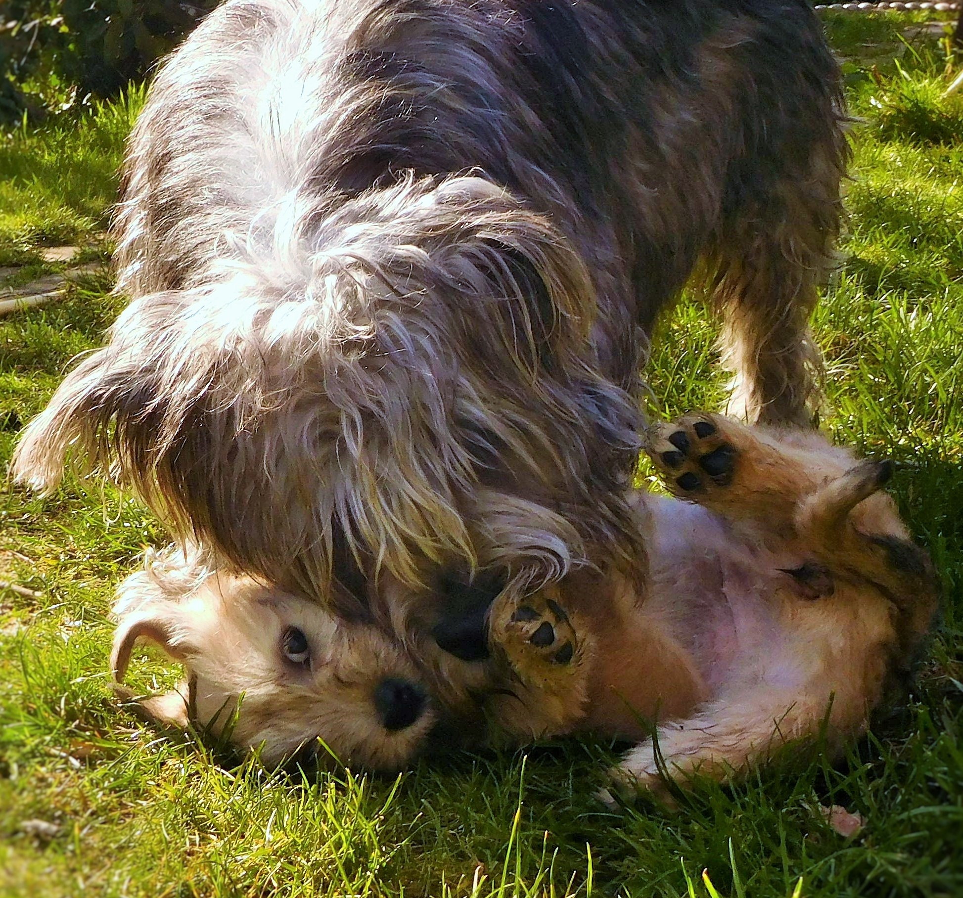 MOTHER AND DAUGHTER