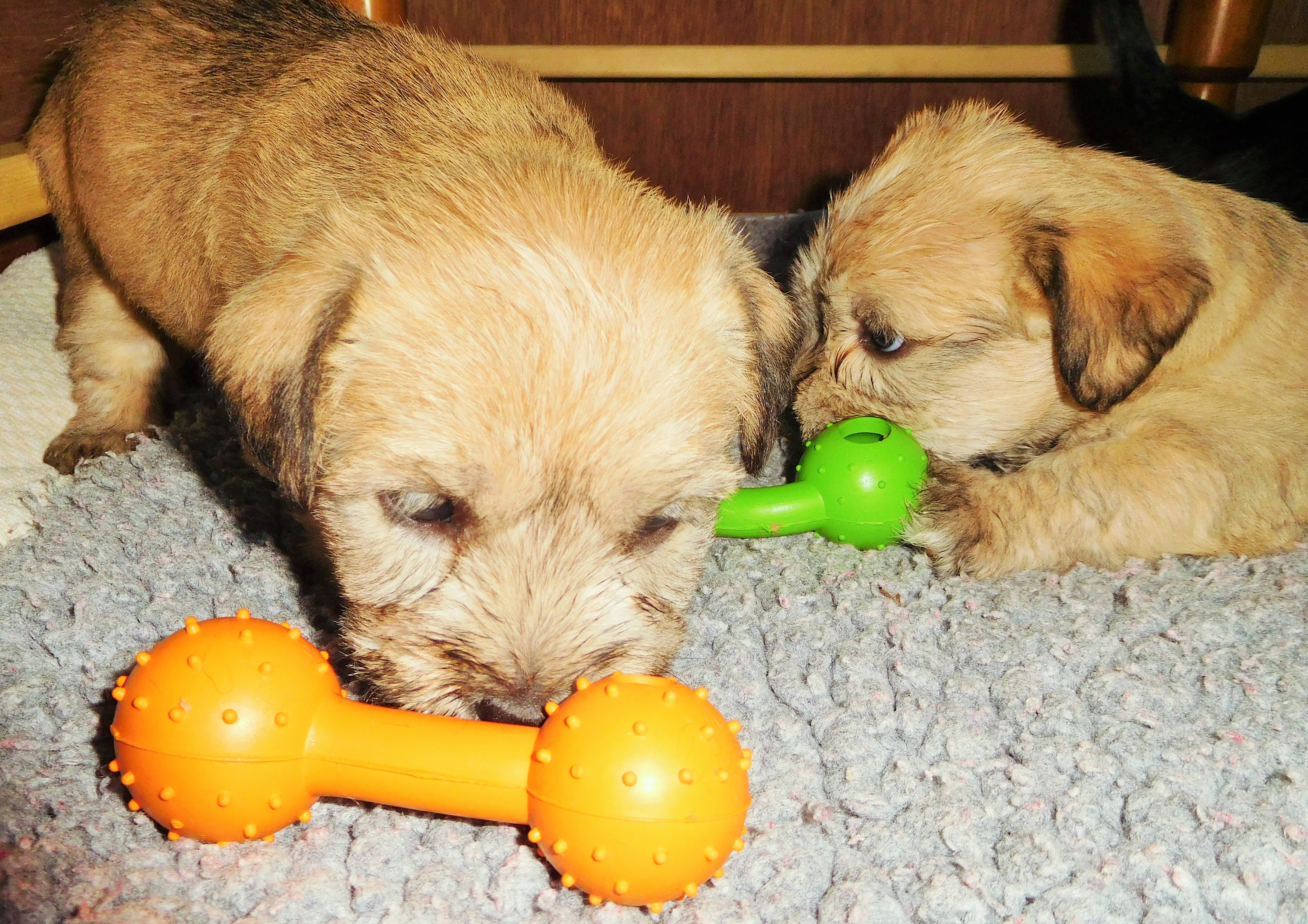 TEETHING!