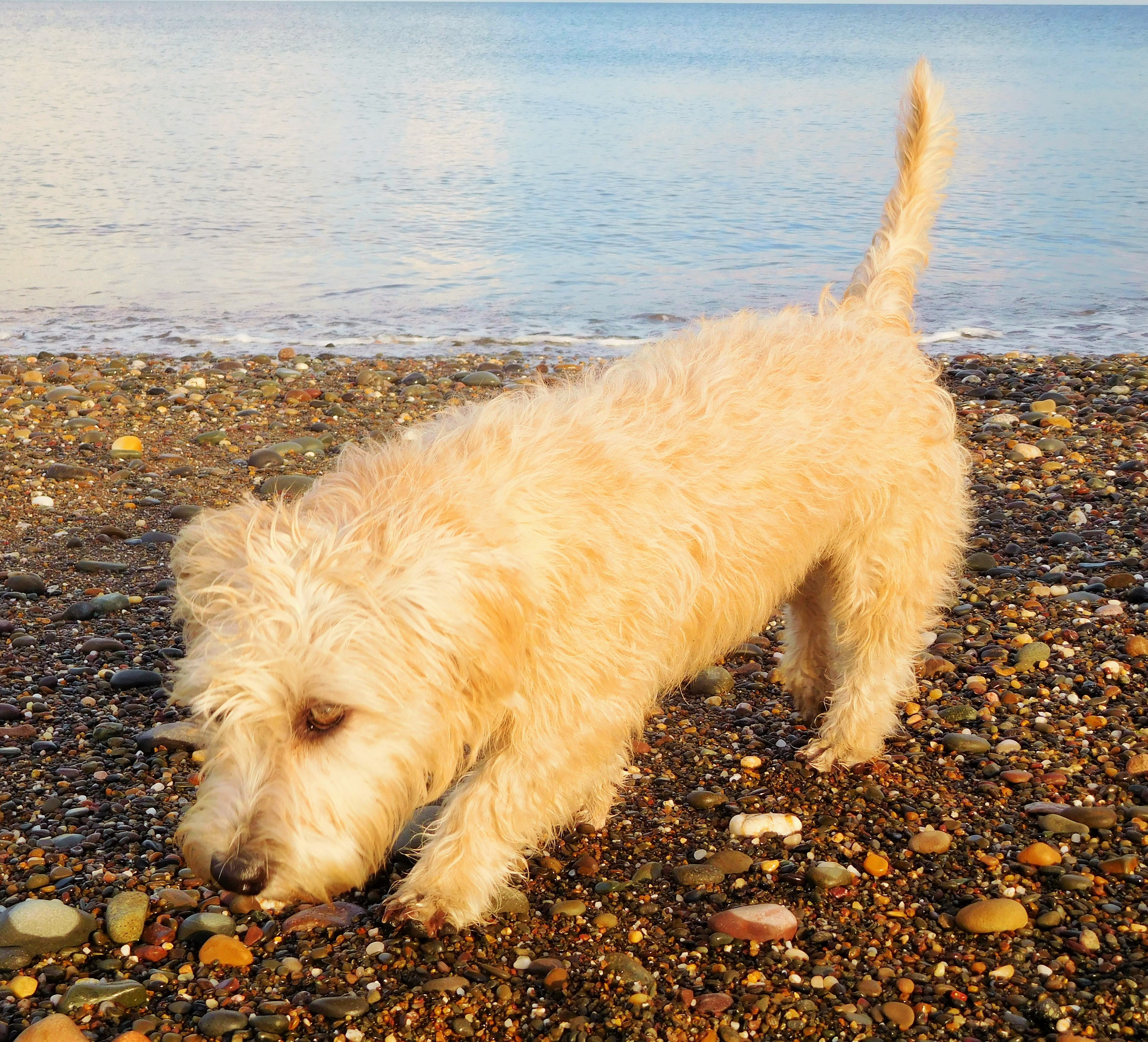 FIRST MANX BEACH