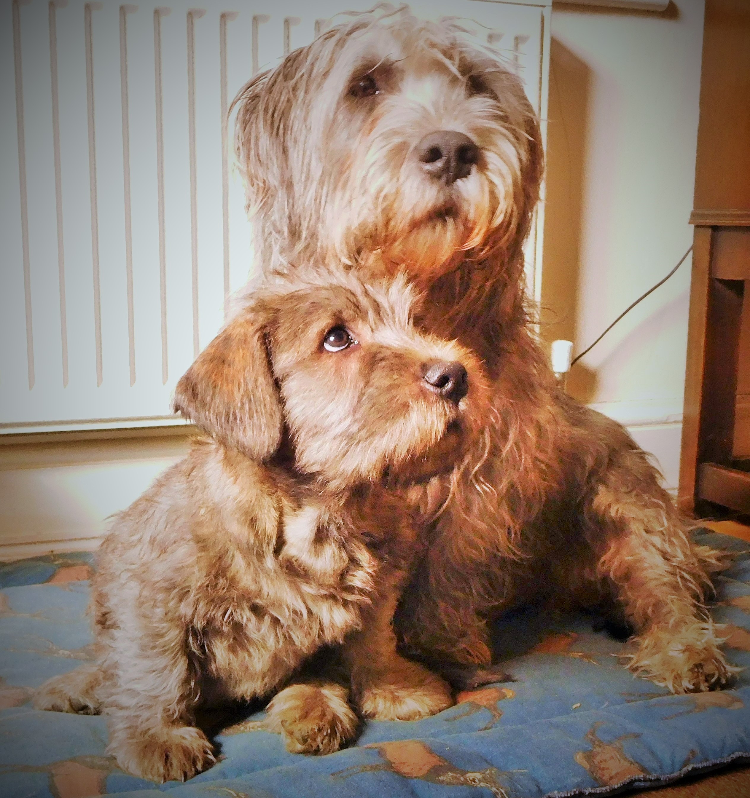 MOTHER AND SON