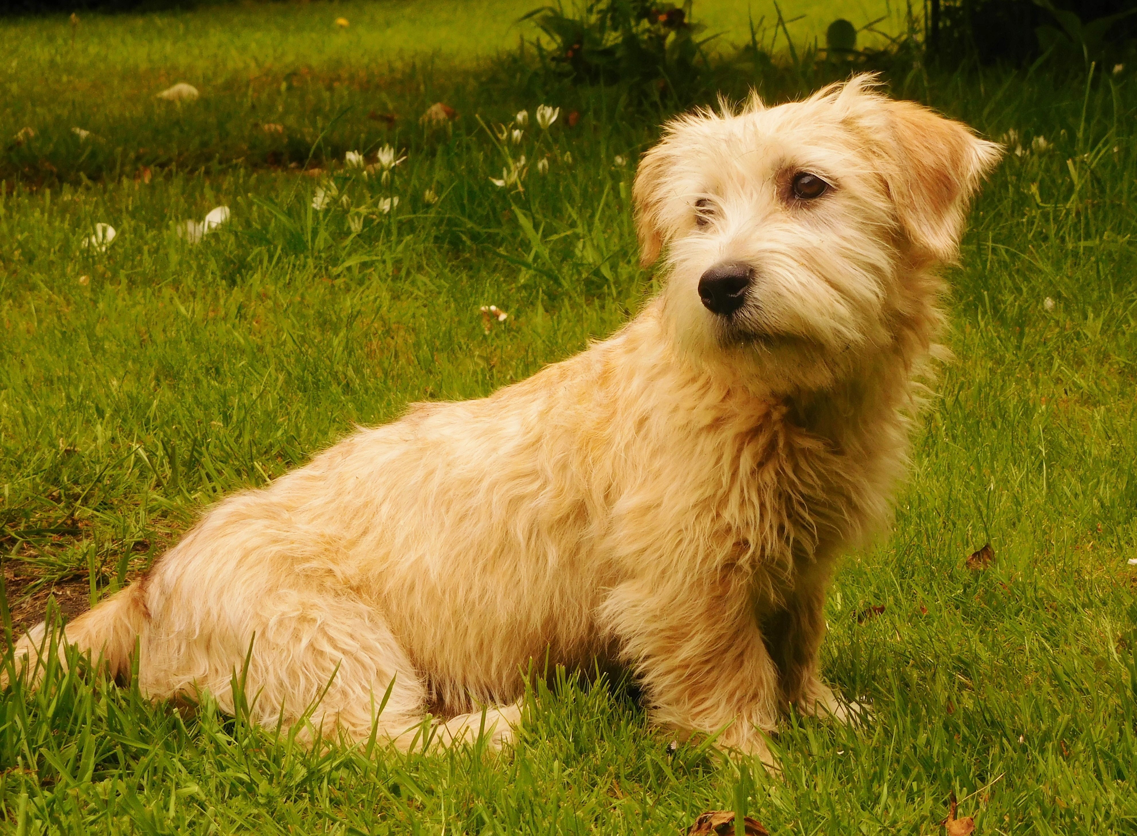 CLODAGH IN THE GARDEN