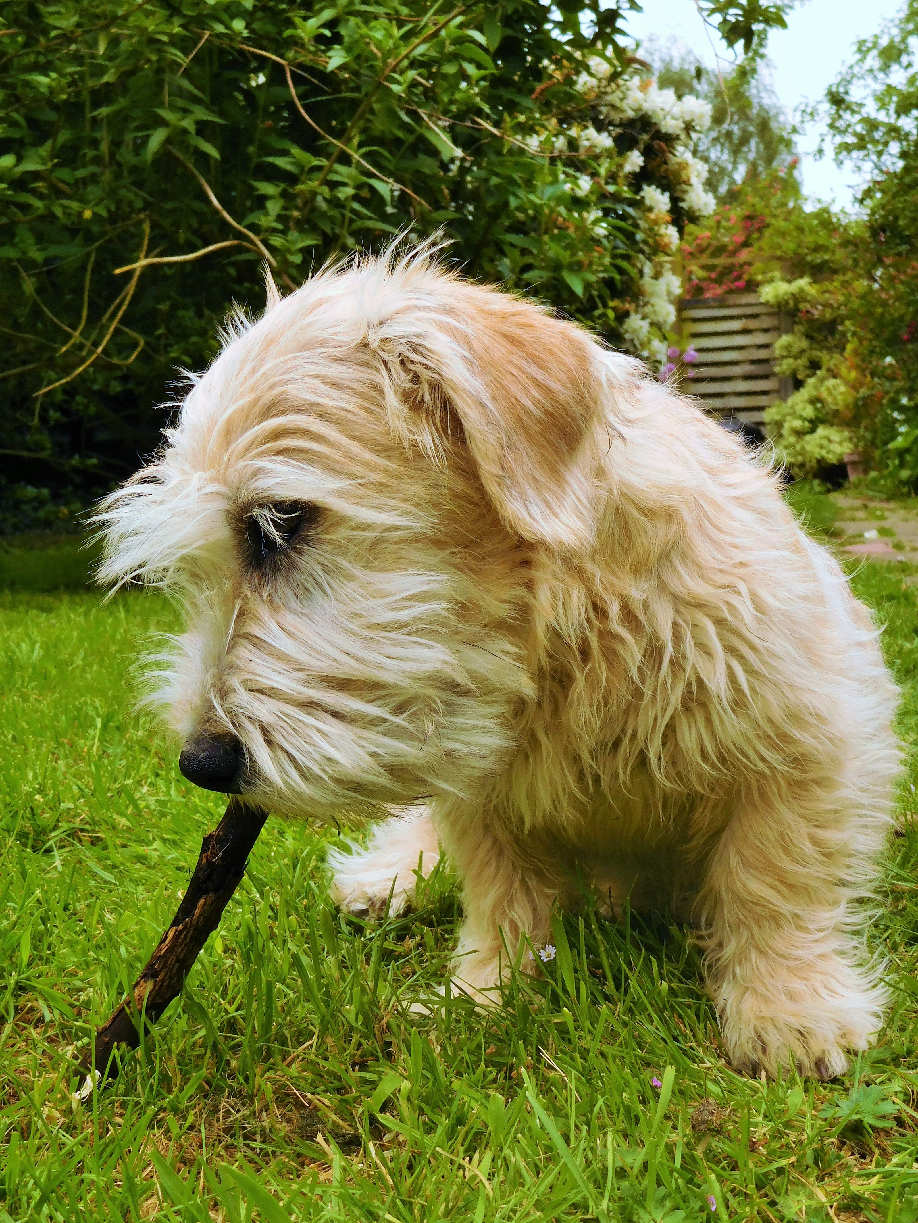 CLODAGH GOT STICK