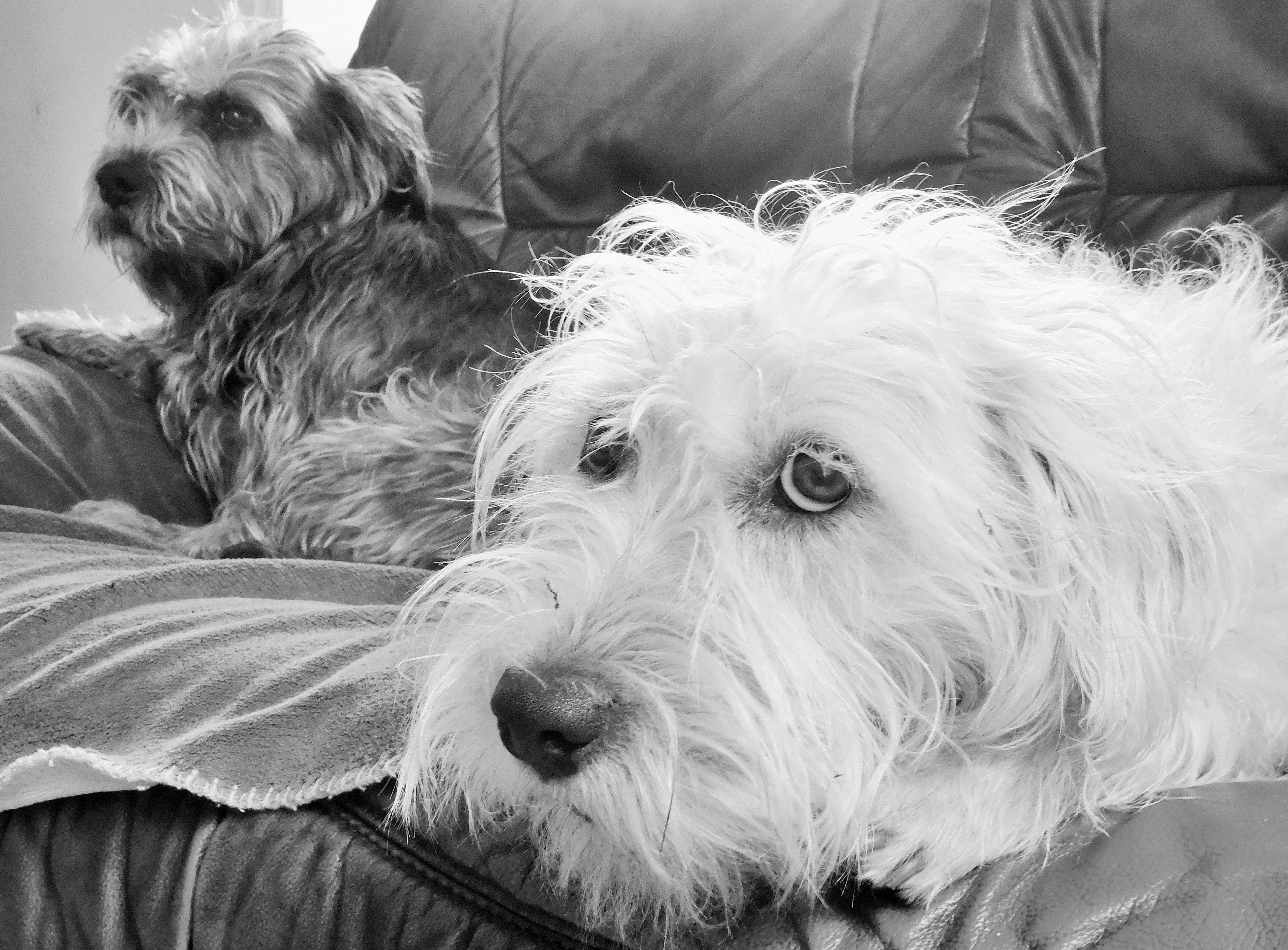 SOFA SURFING