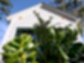 Demo cottage view looking up through succulents
