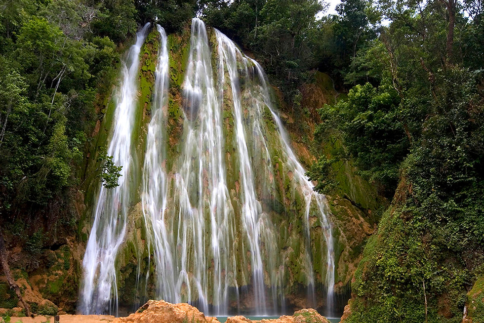 CARIBBEAN NATURE  (2)