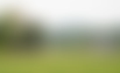 Λίπανση σιταριού με DJI AGRAS T30 στην Ιαπωνία