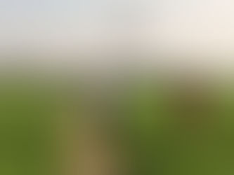 Στην Ινδία στρέφονται στα drones για τον εκσυγχρονισμό της γεωργίας