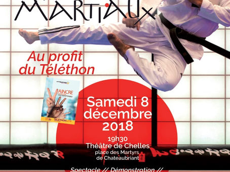 Participez au gala des arts martiaux au profit du Téléthon !