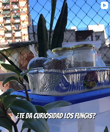Captura de tela 2026-04-07 190200.png