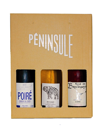 Peninsule Halloween Gift Box - KFF2025_e