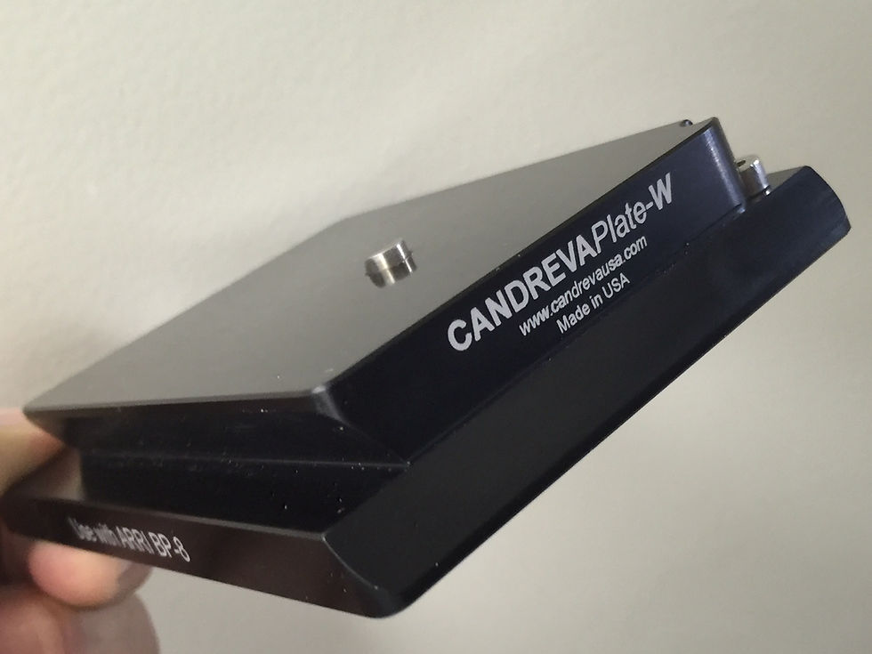 Thumbnail: JC3103 CandrevaPlate-W WEDGE PLATE