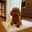 Foto del escritor: Equipo de Luxury Doodles