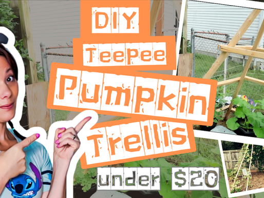 🧠 From Chaos to Clarity: The ADHD Way I Garden