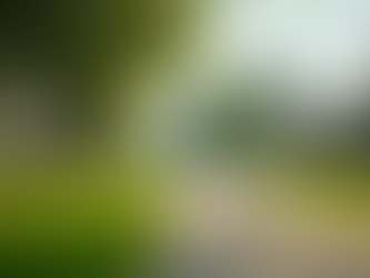 Latest Jacksonville Market Trends: What You Need to Know Now