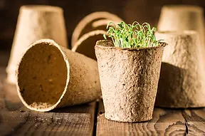 iStock-661456550.webp