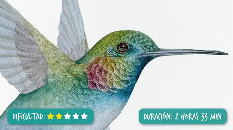 Colibrí en Acuarela por Lucho Salcedo