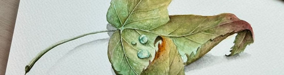 Naturaleza1-6-imageonline_edited.jpg