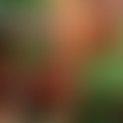 Baño privado al aire libre