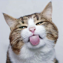 indir (4)_edited.jpg