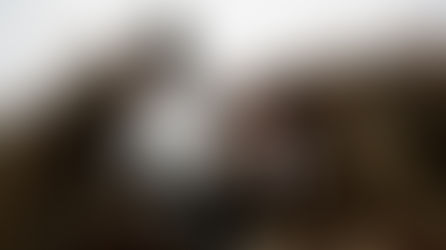 How the US and NATO became color blind to Russia’s ‘red lines’