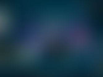 World of DeFi-Craft - Monte dei Paschi di Siena raid