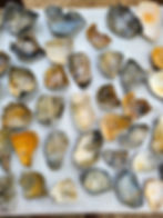 Thumbnail: Bulk conch shell fragments -110+ 