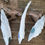 Thumbnail: White washed Natural Coastal Driftwood ornaments