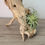 Thumbnail: Driftwood/faux airplant centerpiece 