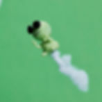 PIPA ALIEN