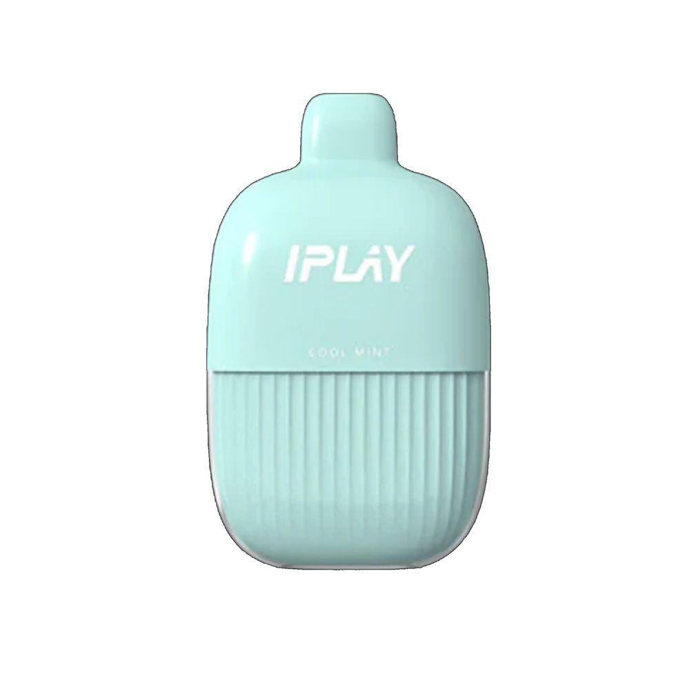 Miniatura: iPLAY ECCO