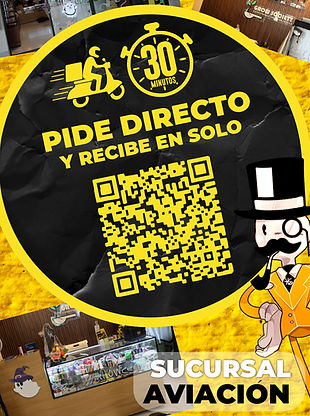 aviacion SUC_edited.jpg