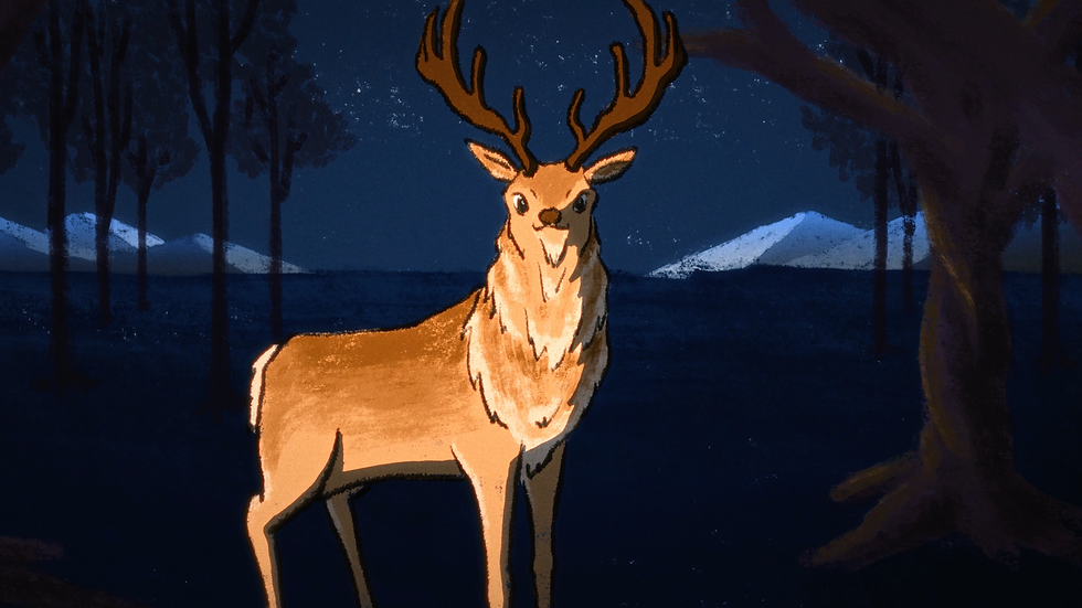 Animation 4